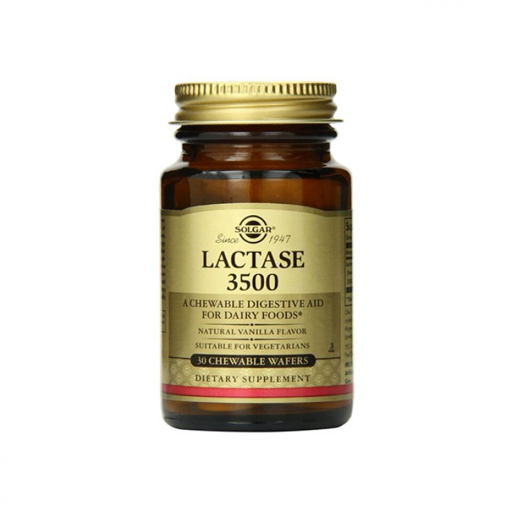 Solgar Lactase 3500 30chewable tabs | Συμπλήρωμα Διατροφής Ένζυμο Λακτάσης Ιδανικό σε Περιπτώσεις Δυσανεξίας στη Λακτόζη ΦΑΡΜΑΚΕΙΟ