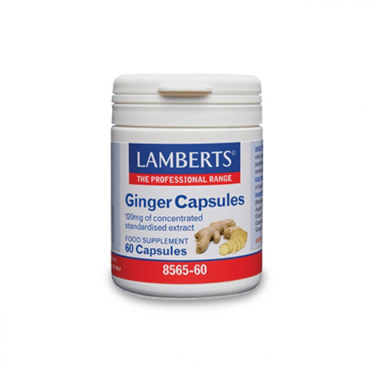 Lamberts Ginger 120mg 60caps |Συμπλήρωμα Διατροφής Τζίντζερ για την Πεπτική Δυσλειτουργία  ΦΥΤΙΚΑ & ΒΟΤΑΝΑ