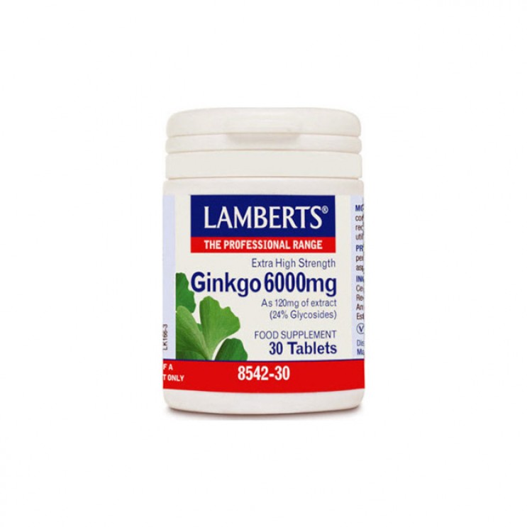 Lamberts Ginkgo Biloba Extract 6000mg 30tabs | Συμπλήρωμα Διατροφής με Εκχύλισμα Ginkgo Biloba ΦΥΤΙΚΑ & ΒΟΤΑΝΑ