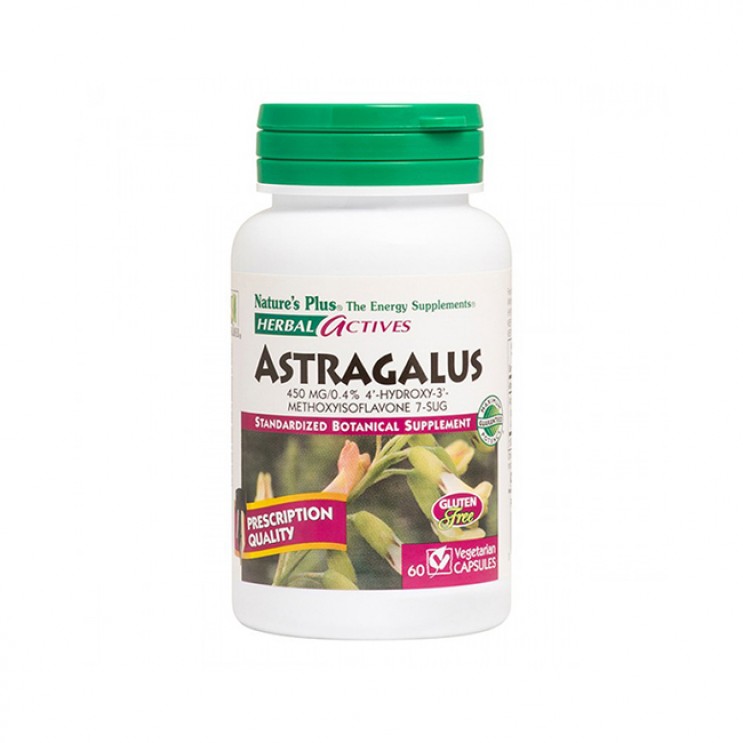 Nature's Plus Astragalus 450mg 60veg.caps | Συμπλήρωμα Διατροφής για Ανοσοποιητικό
