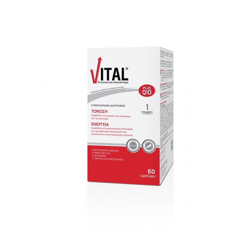 Vital Plus Q10 60caps | Συμπλήρωμα Διατροφής για Ενέργεια και Τόνωση  ΔΗΜΟΦΙΛΕΣΤΕΡΑ