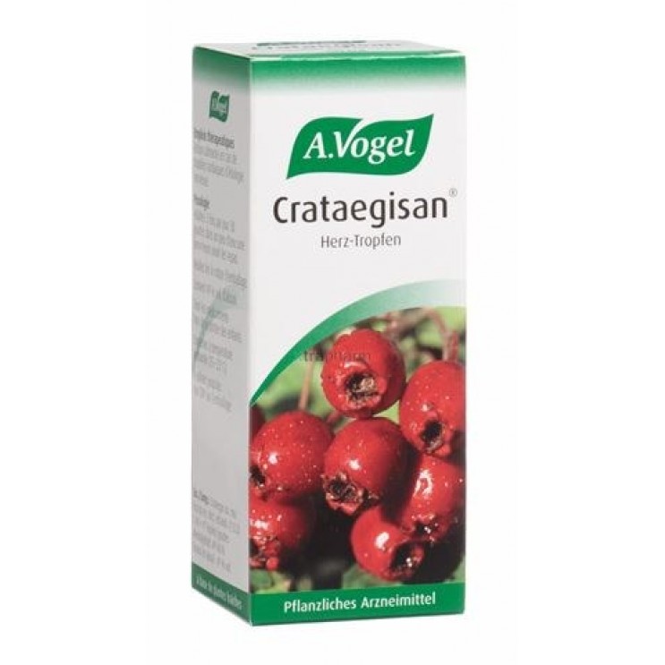 A.Vogel Crataegisan 50ml | Βάμμα από Κράταιγο ΦΥΤΙΚΑ & ΒΟΤΑΝΑ