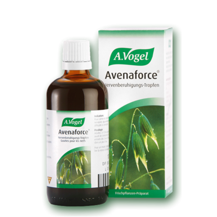 A.vogel Avenaforce 100ml | Νευροτονωτικό Βάμμα από Βρώμη ΒΙΤΑΜΙΝΕΣ