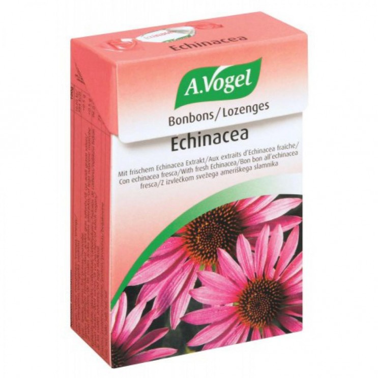 A.Vogel Echinacea Bonbons 30gr | Καραμέλες για Πονόλαιμο και Ανοσοποιητικό με Εχινάκια ΦΥΤΙΚΑ & ΒΟΤΑΝΑ