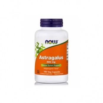 Now Foods Astragalus 500 mg, 100caps | Συμπλήρωμα Διατροφής για την Ενίσχυση του Ανοσοποιητικού 