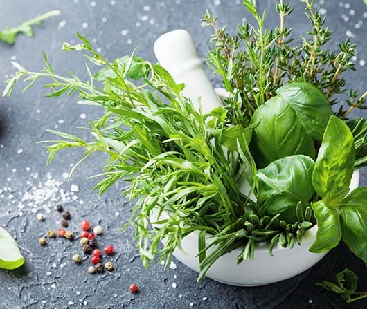 ΦΥΤΙΚΑ & ΒΟΤΑΝΑ